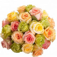 Bouquet of pastel coloured roses